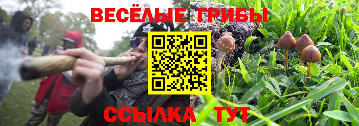 Галлюциногенные грибы мицелий Алапаевск